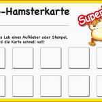 Selten Lob Hamsterkarte Mit 10 Feldern 25 Stück