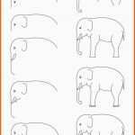Selten Ment Dessiner éléphant