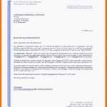 Selten Neues Stellenausschreibung Vorlage