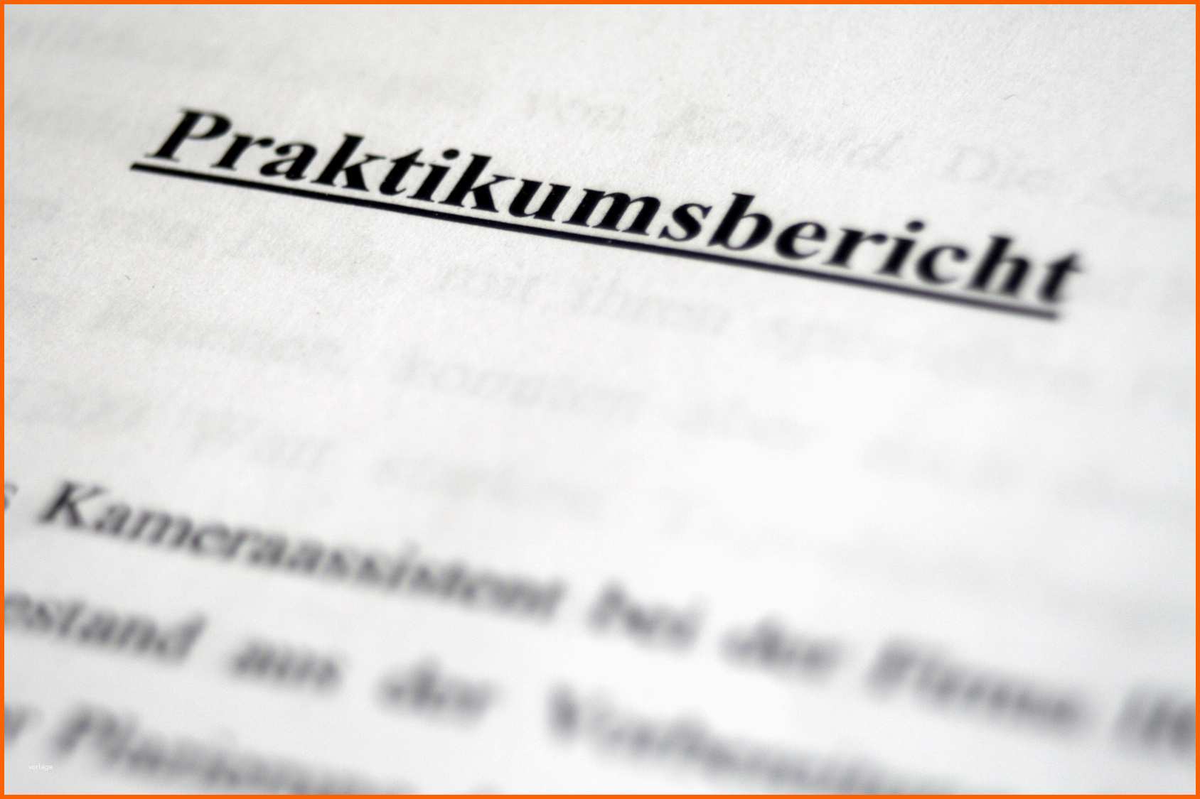 Selten Praktikumsbericht Muster