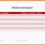 Selten Projektmanagement24 Blog Meilensteinplan