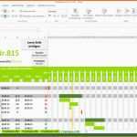 Selten Projektplan Excel