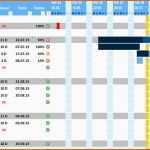 Selten Projektplan Excel