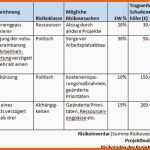 Selten Risikomanagement Projekt Projektumfeld Stakeholder Risiko