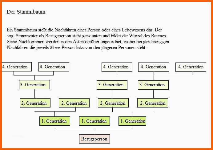 Selten Stammbaumvorlage Ahnentafel Ahnenforschung Genealogie