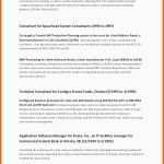 Selten Templates Free Strategic Plan Template Business Case