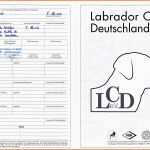 Selten Vorlage Stammbaum Excel – Gehen