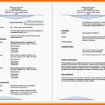 Sensationell 11 Cv Englisch Vorlage