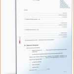 Sensationell Au Pair Vertrag