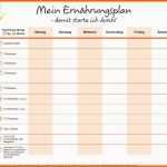 Sensationell Ernährung Erfolgreich Umstellen Ernährungstagebuch Und
