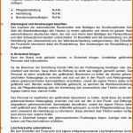 Sensationell Muster Brandschutzordnung Für Alten Und Pflegeheime Pdf