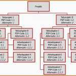 Sensationell Projektstrukturplan Definition Im Projektmanagement