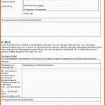 Sensationell Umbrella Fragebogen Setup Pdf