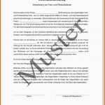 Spektakulär Einverständniserklärung Der Eltern Vorlage Genial