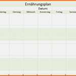 Spektakulär Ernährungstagebuch Vorlage Schönste Ernährungsplan Zum