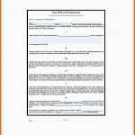 Spektakulär Testament Vorlage Pdf Basic Will and Testament Template