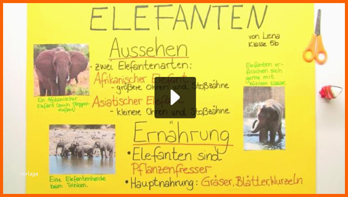 Spektakulär Wie Gestaltet Man Ein Plakat Für Schule