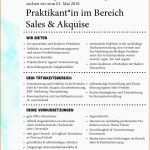 Spektakulär Xing Cv Template English Beautiful Nursing Student Resume