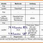 Spezialisiert 15 Trainingsplan Pferd Vorlage