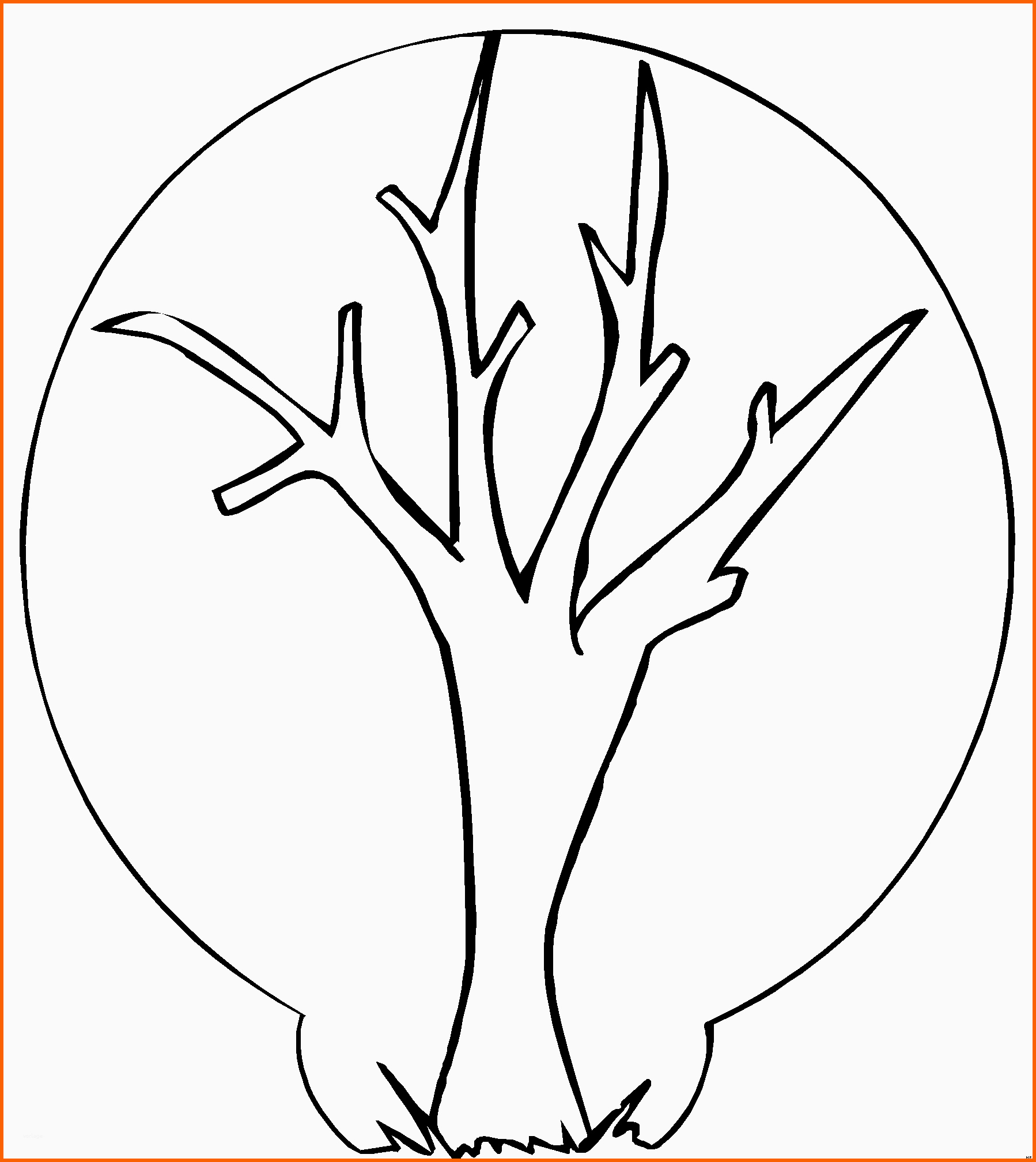 Spezialisiert Baum Ohne Blaetter Ausmalbild & Malvorlage Ics