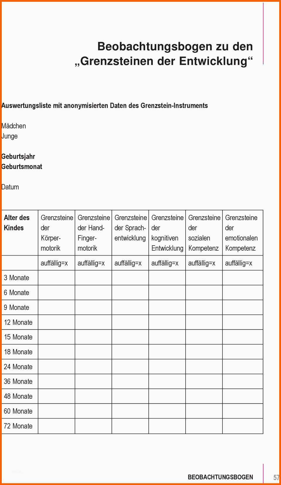 Spezialisiert Beobachtungsbogen Zu Den Grenzsteinen Der Entwicklung Pdf