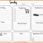 Spezialisiert Daily Planner Template