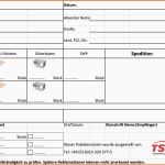 Spezialisiert Download Bereich Tst Transportlogistik