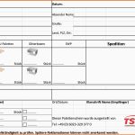 Spezialisiert Download Bereich Tst Transportlogistik