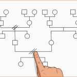 Spezialisiert Ein Genogramm Erstellen – Wikihow