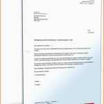 Spezialisiert Gez Kündigen Vorlage Gut Kündigung Versicherung todesfall