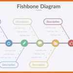 Spezialisiert ishikawa Diagramm Vorlage Powerpoint