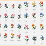 Spezialisiert Liniertes Papier Vorlage Kinderbilder Download