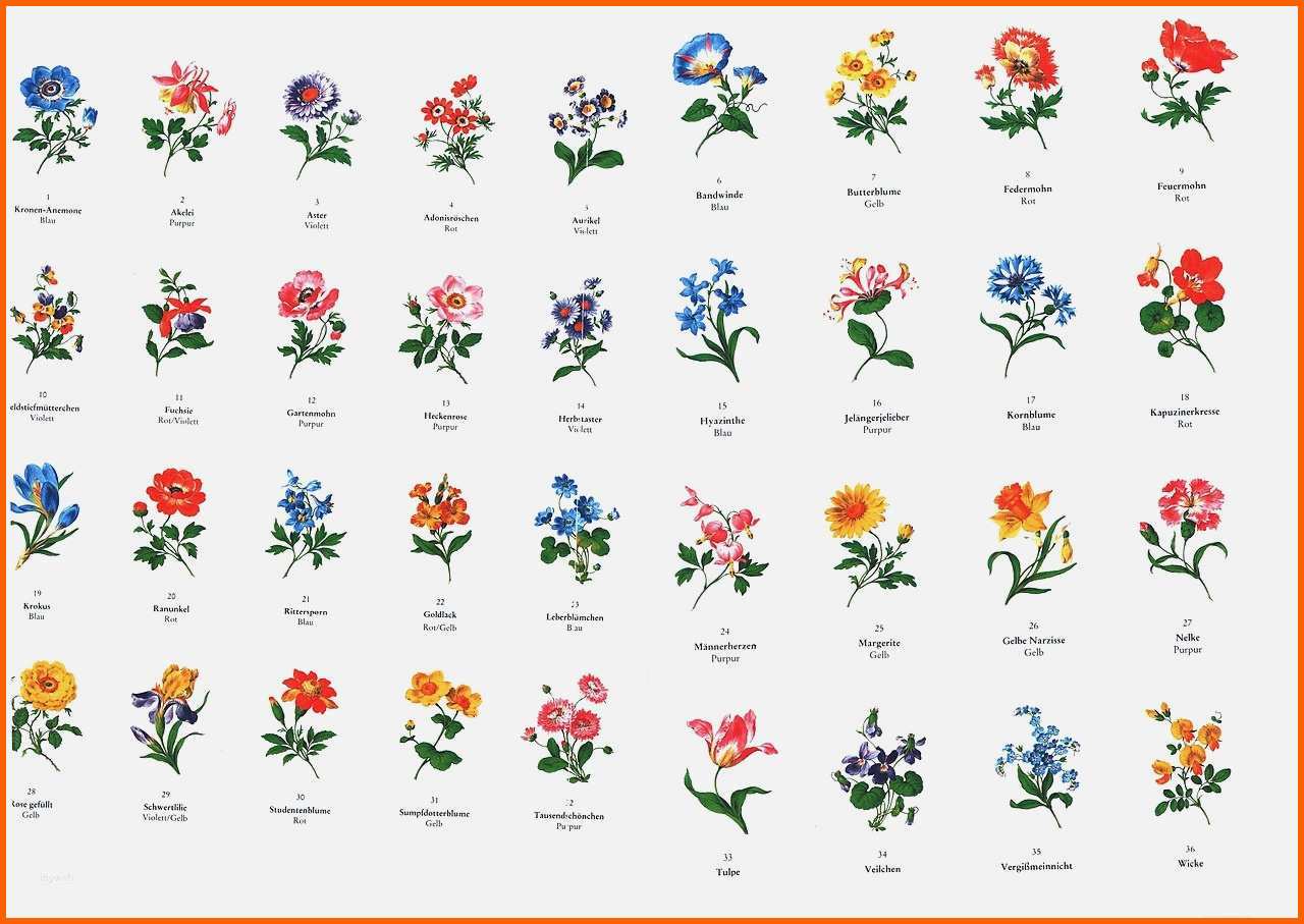 Spezialisiert Liniertes Papier Vorlage Kinderbilder Download