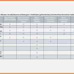 Spezialisiert Risikoanalyse Medizinprodukte Vorlage Schön Groß