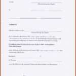 Spezialisiert Vollmacht Muster Bank