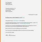 Spezialisiert Vorlage Fabelhaft