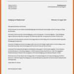 Tolle 15 Offizieller Brief Vorlage