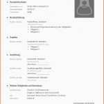 Tolle Lebenslauf Muster Download Open Fice Mit Stunning