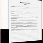 Tolle Privater Darlehensvertrag Vorlage Hübsch Darlehensvertrag