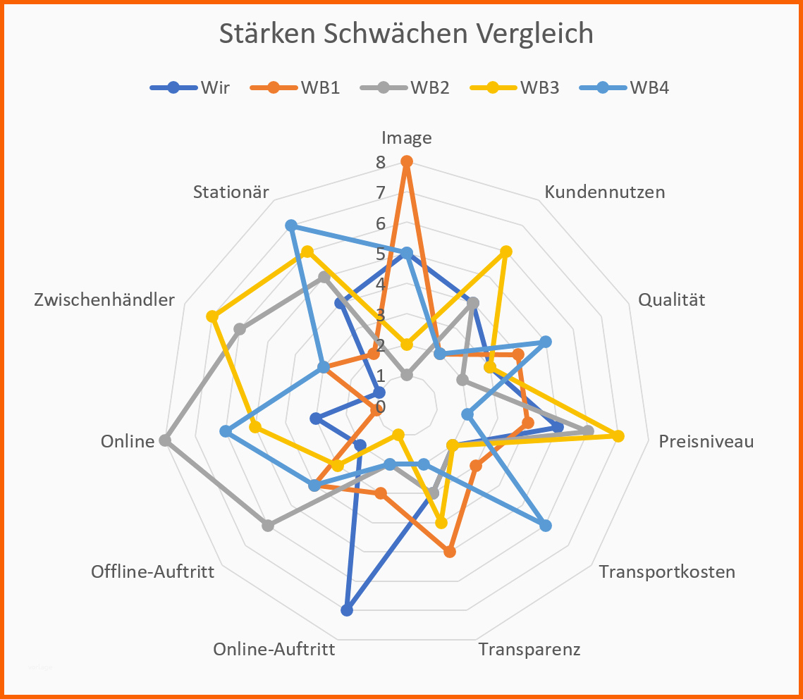 staerken schwaechen analyse