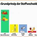 Tolle Stoffwechseldiät Dieser Prozess ist Der Schlüssel Zum