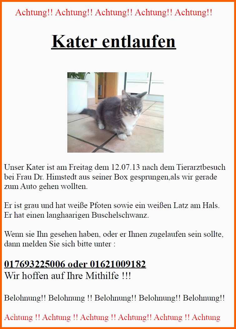 Tolle Vermisst