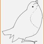 Tolle Vogel Basteln Vorlage Erstaunlich Bastelvorlage Vogel Und