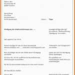 Überraschen 15 Kündigung Ausbildung Muster