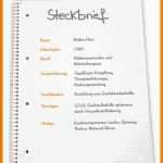 Überraschen 20 Praktikum Tagesbericht Beispiel