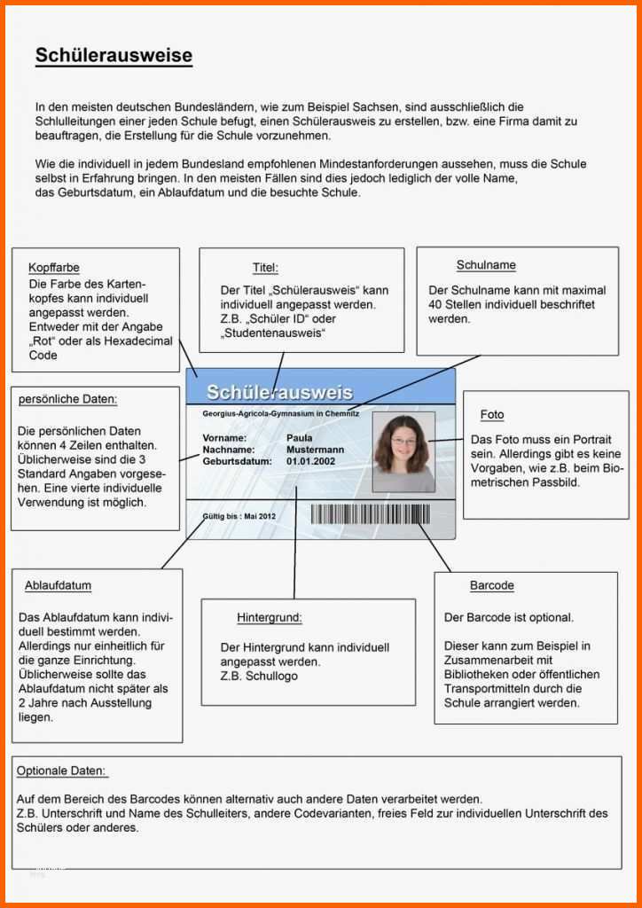 Überraschen 23 Einzigartig Schülerausweis Vorlage Bilder