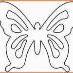 Überraschen 3d Schmetterlinge Basteln Vorlage origami Schmetterlinge