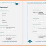 Überraschen 70 Wunderbar Lebenslauf Openoffice Vorlage Kostenlos