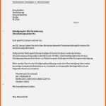 Überraschen Allianz Versicherung Kündigen Vorlage Qualität Allianz