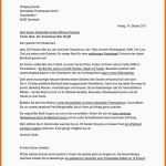 Überraschen Anschreiben Firmenvorstellung Muster – Kundenbefragung